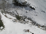 /Ski/2008/Images/1498/mini-Photo FRe 005Icon.jpg